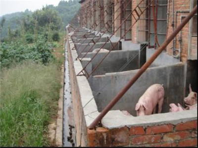 水質檢測機構養豬場污水污染致癌嗎？